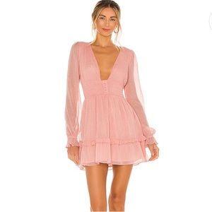 NWT Arline Dress in Pink